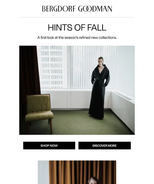 Bergdorf Goodman email layout for A First Look at Pre-Fall
