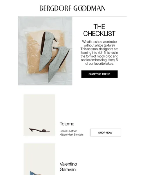 Bergdorf Goodman email layout for The Shoe Edit: Skin Is In