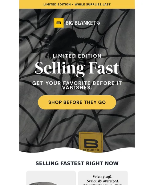 Big Blanket Co email layout for (No Subject)